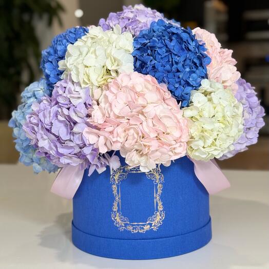 19 Hydrangeas in a Blue Box