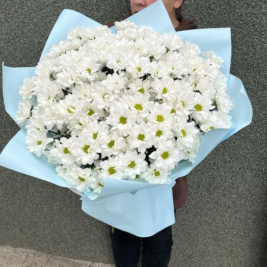 Букет ГИГАНТ из ромашек