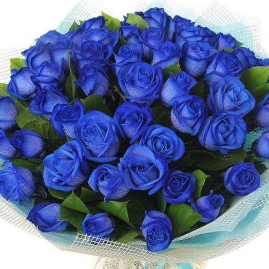 Velvet Love: 20 Blue Roses