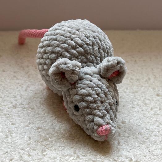 Gray mouse