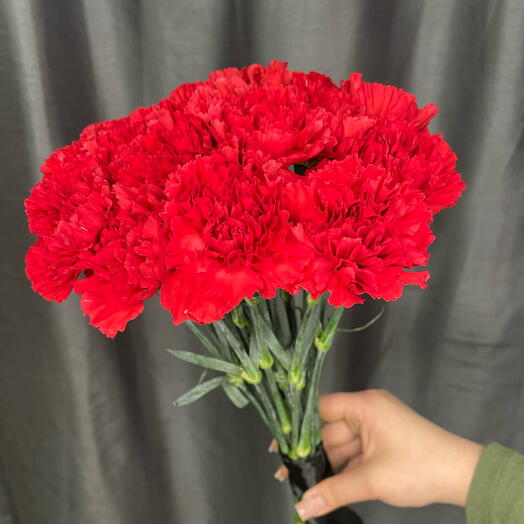 Irisfloraby
