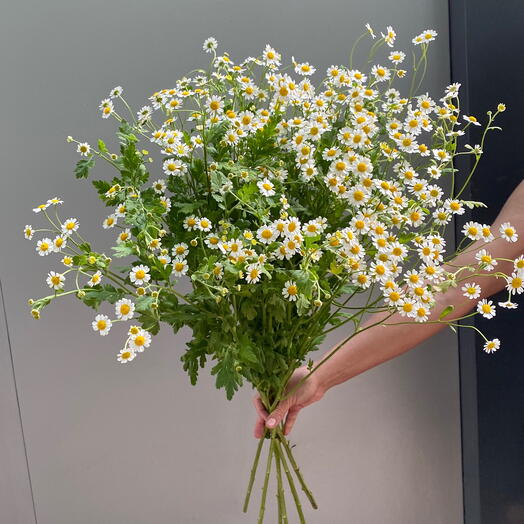 Love&fцветы