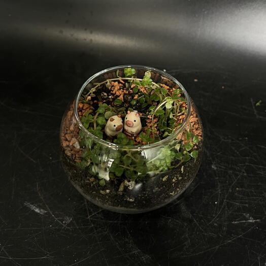 Flo Florarium