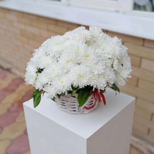 ЦветыМикс
