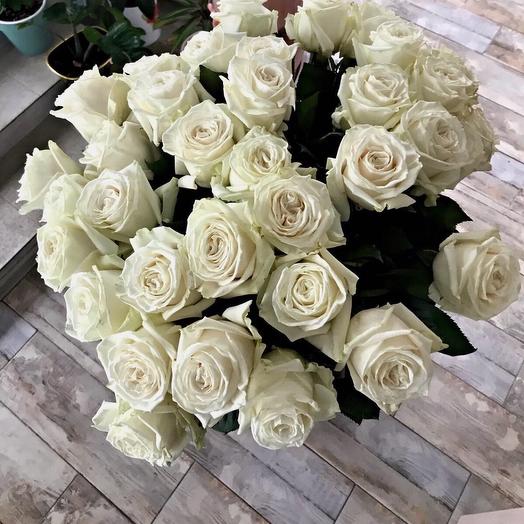 Rosas blancas