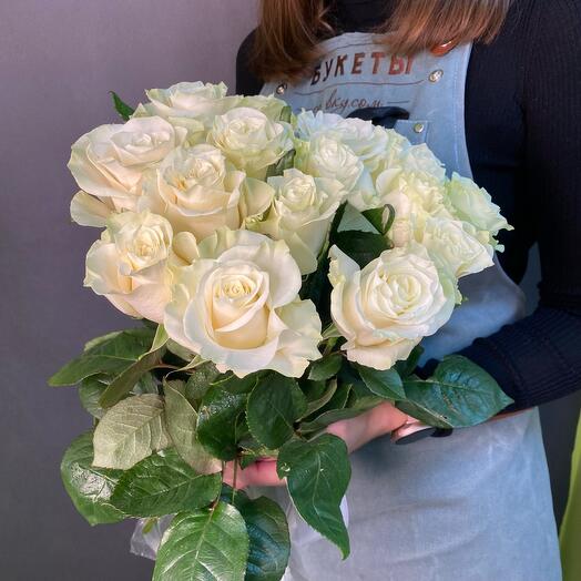 15 Rosas blancas