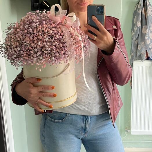 Giant box of Gypsophilia