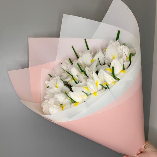 Ирисы белые 21