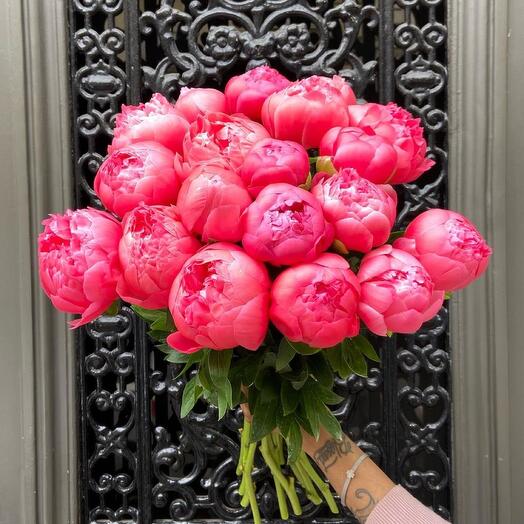 Coral Peonies