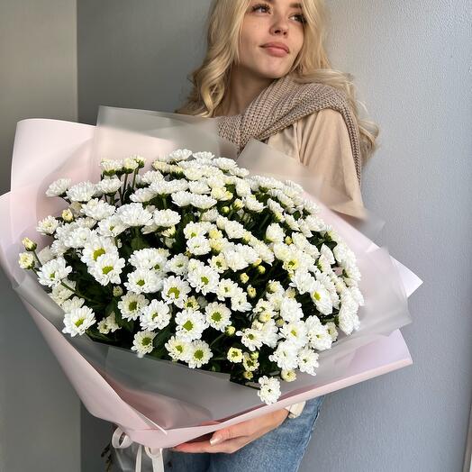 Большой букет ромашек (хризантема сантини)