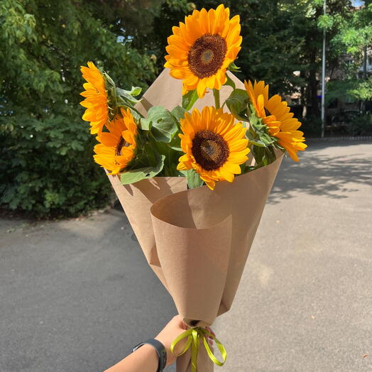 Sunflower 🌻