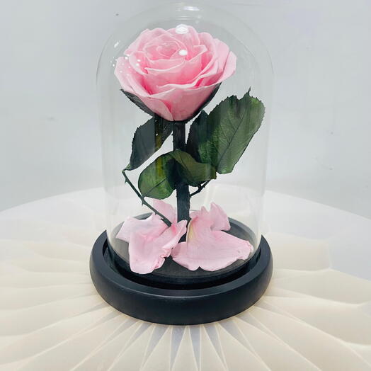 Infinity Pink Rose in Glass Dome – A Unique Valentine s Gift