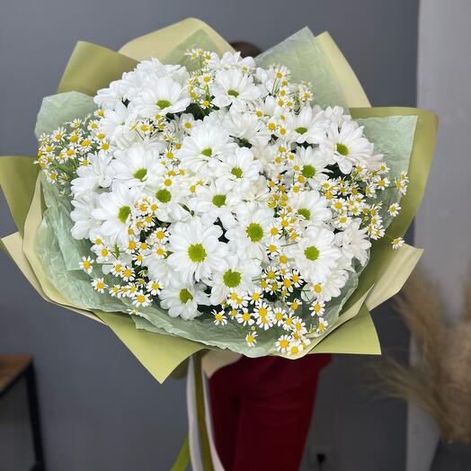 Милые ромашки🌸 хризантемы и танацетум