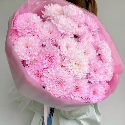 Crisantemo rosa * 7 en decoración