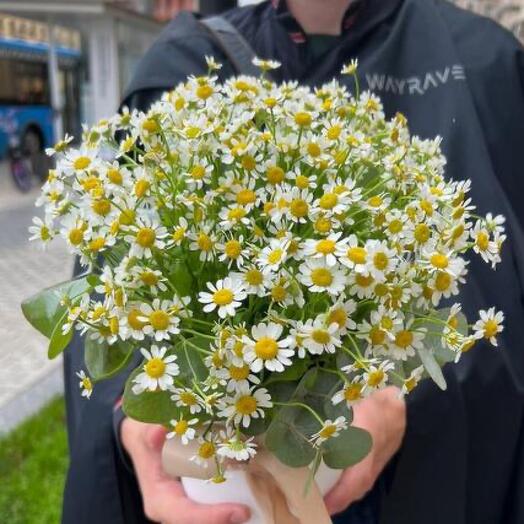 Ромашки в коробке