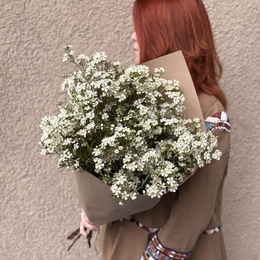 Потому Что Гладиолус