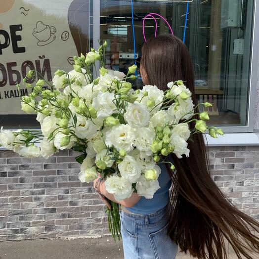 Шикарная эустома