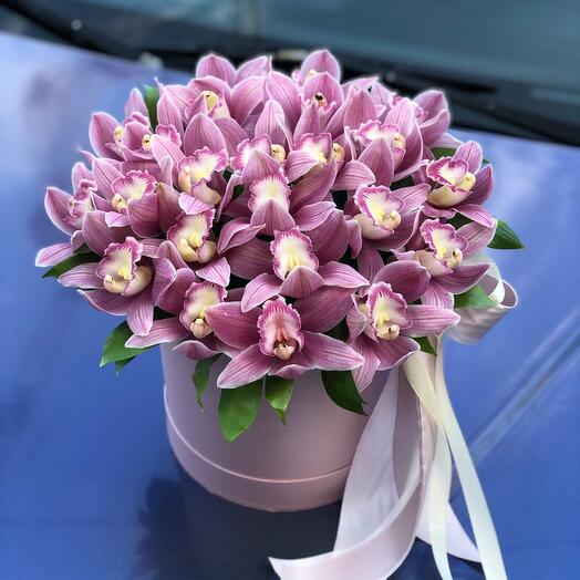 Orquídea en Caja