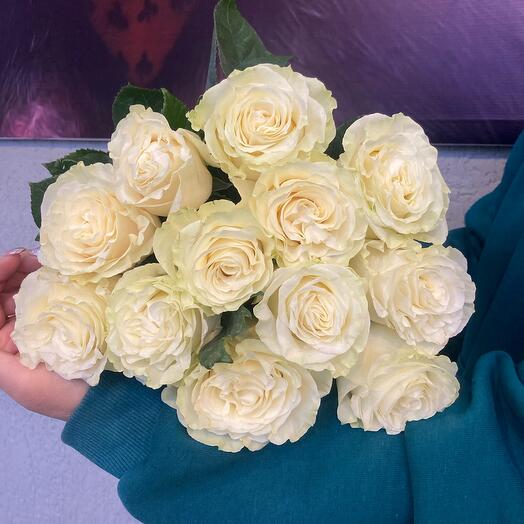 11 white roses 50 cm