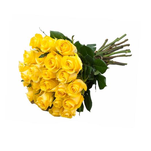 Friendship Yellow Roses Bunch - 20pcs