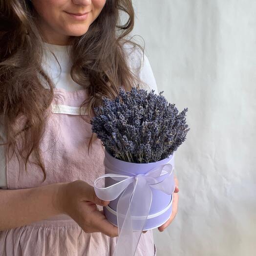 Lavender in a box