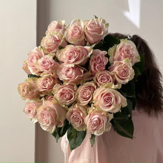 25 beautiful pink roses for a ribbon