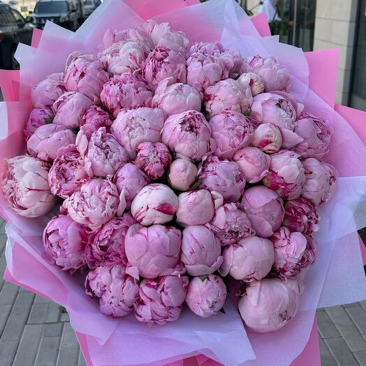 Lion Flowers