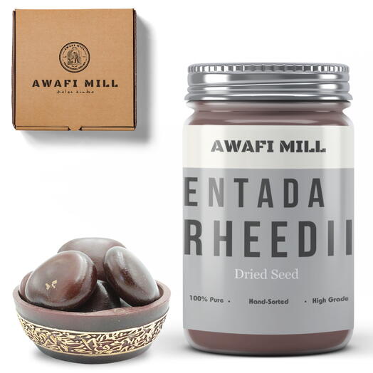 AWAFI MILL Shelled Entada Rheedii Seed | Dream herb - Bottle of 6 Seeds