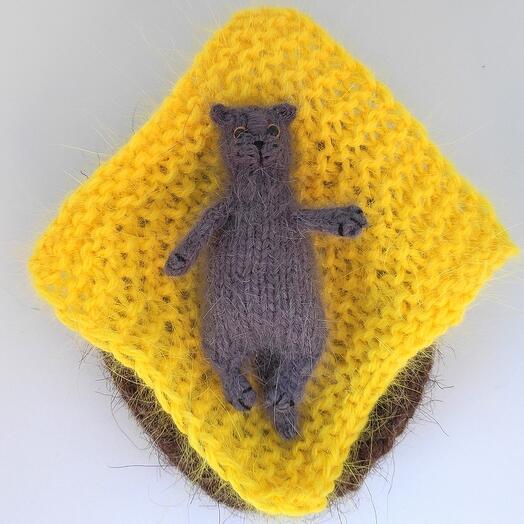 Кот британский