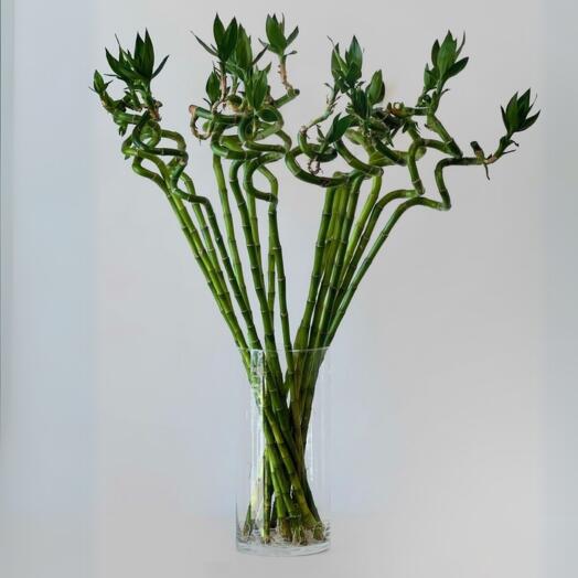 Комнатное растение Art Flowers Бамбук 70 см