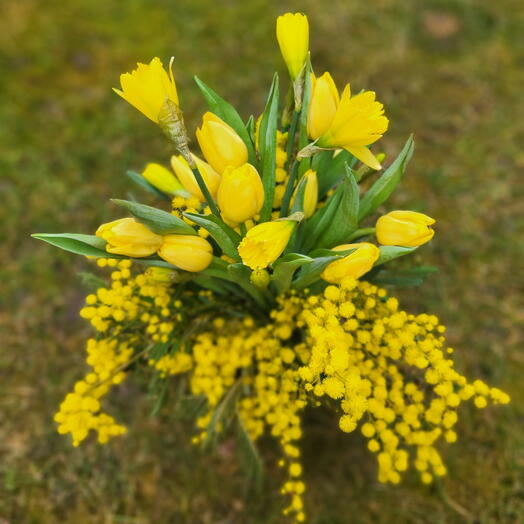 Ramo Amarillo de Primavera