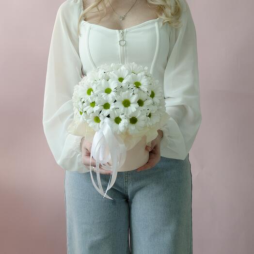 A delicate box of daisies