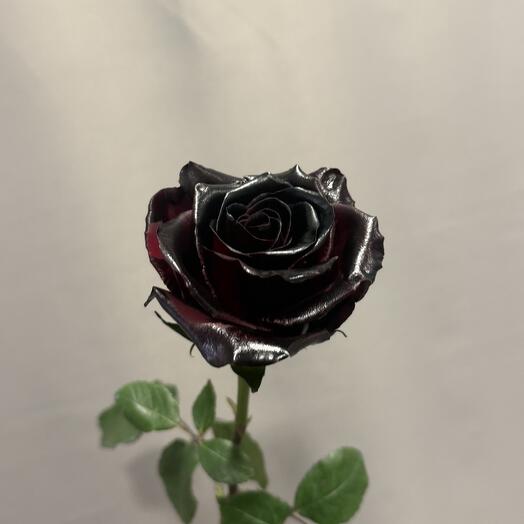 Черная роза 🎁