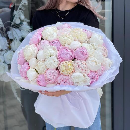 Пионы 51 💕