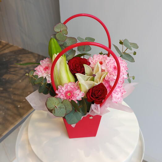 Pion Pionych premium