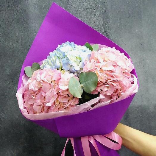 Hydrangeas in designer packaging