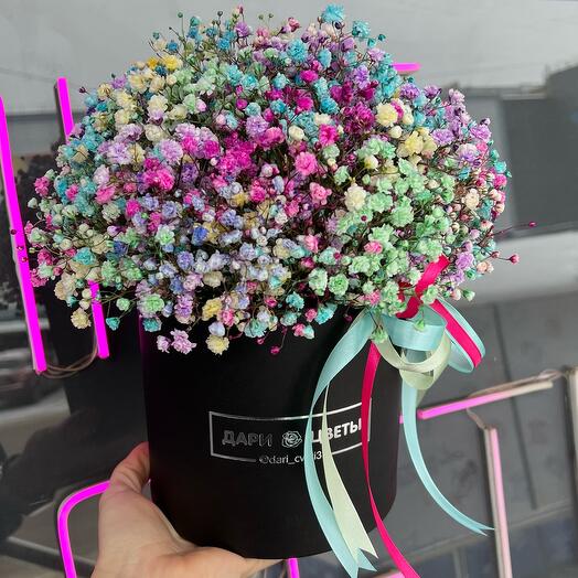 Гипсофила в коробке