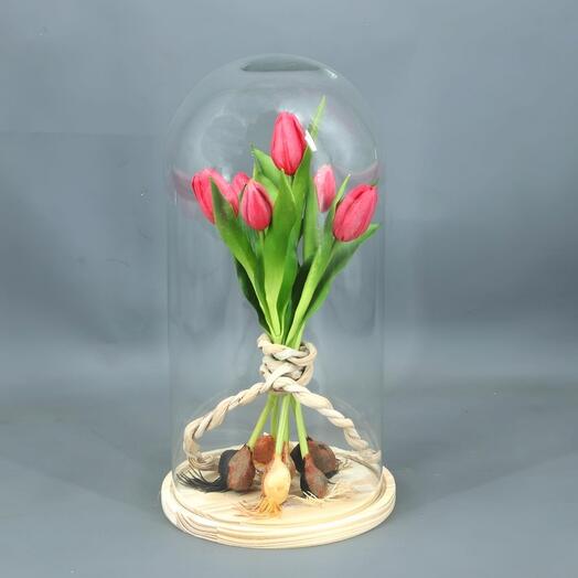 Cupula Tulipanes Rosas