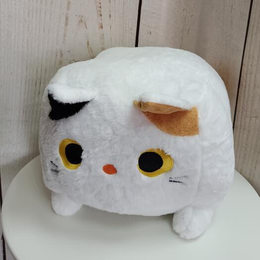 Кото-куб