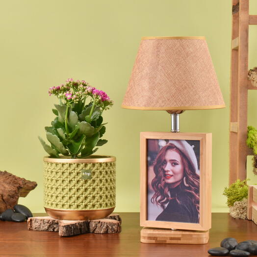 Kalanchoe Plant with Photo Lamp