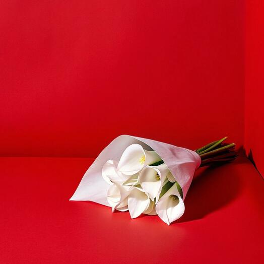 Белая калла КЕЕР, 9 стеблей