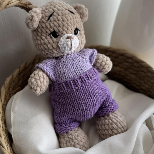 Мишутка в одежде