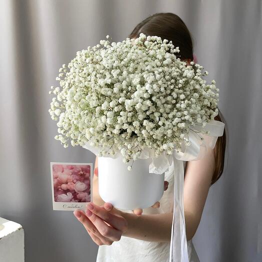 Composition of white gypsophila "Fluffy cloud"