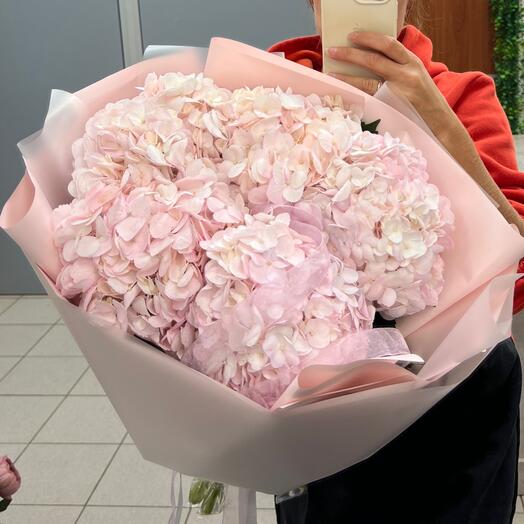 Букет розовых гортензий 💕