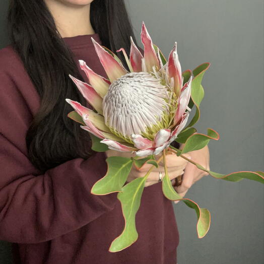 EFlowers