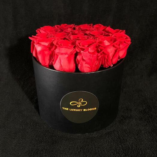 Red Infinity Rose in Black Boxj