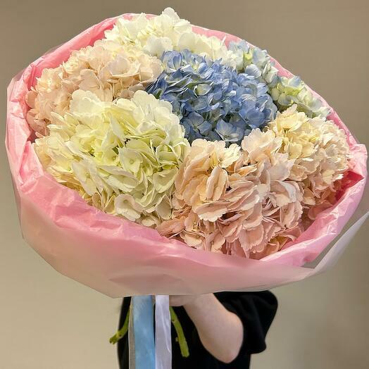 Bouquet of gorgeous hydrangeas in a package