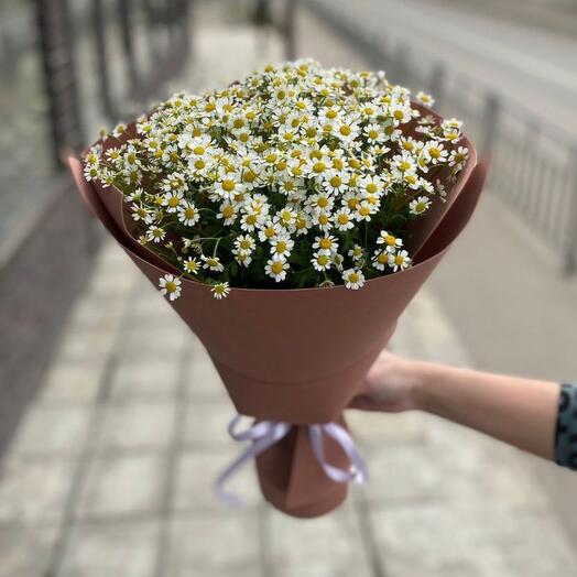 Букет из 15 кустовых ромашек в мягкой упаковке
