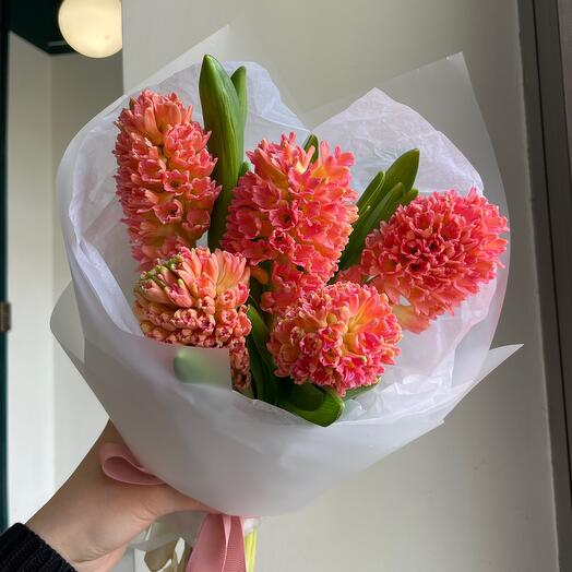 Рыжие гиацинты