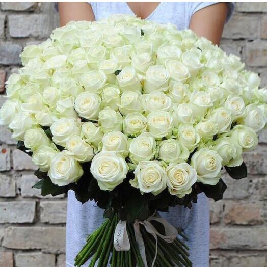 Белые розы 101 шт